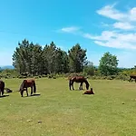 Do Soajo Аркуш-ди-Валдевеш