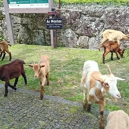Do Soajo Hébergement de vacances Arcos de Valdevez