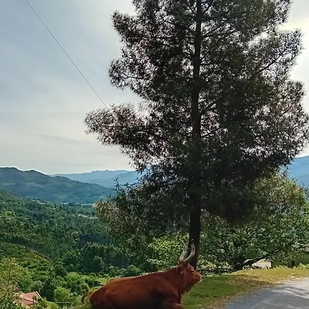Dom wakacyjny Do Soajo Arcos de Valdevez