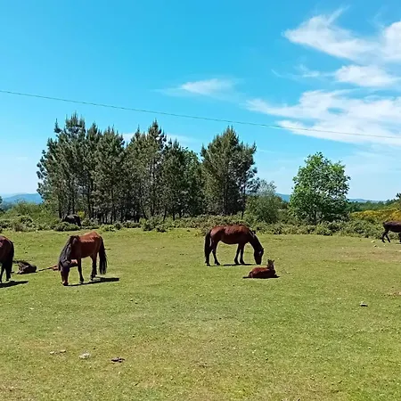 Do Soajo Arcos de Valdevez