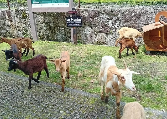 Do Soajo Casa vacanze Arcos de Valdevez
