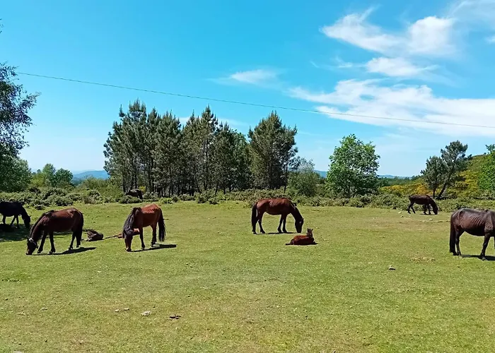 Do Soajo Arcos de Valdevez
